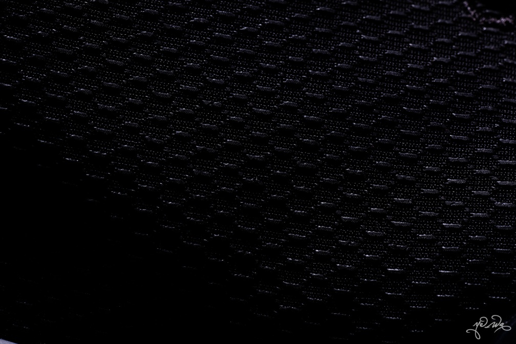 DSC 2310