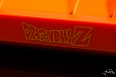 DSC 1512